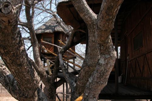 Pezulu Tree House (3)